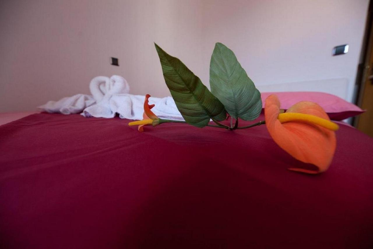 Rooms Aladino Trogir Bagian luar foto